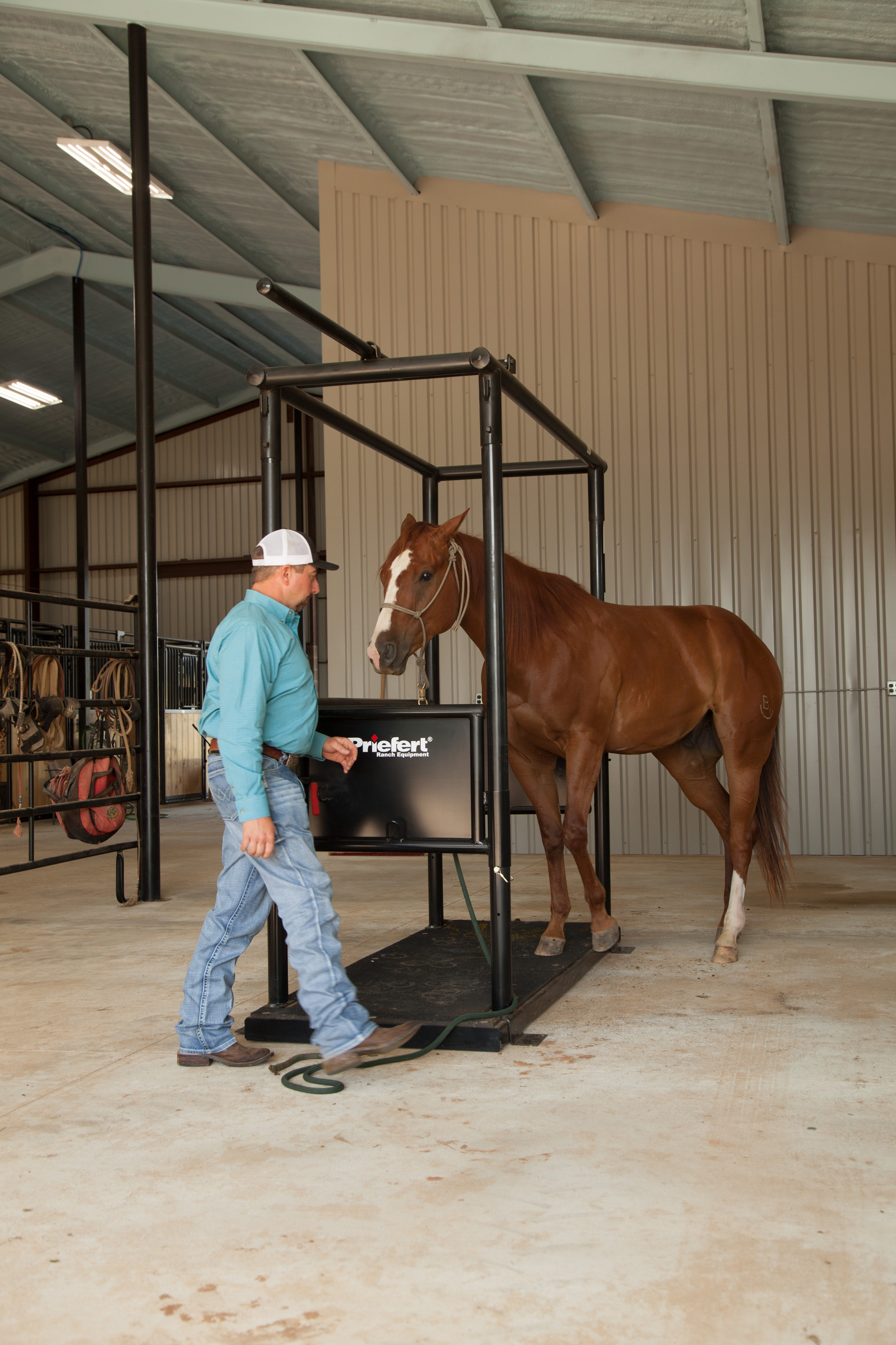 HS HorseStock Bynum 32.jpg